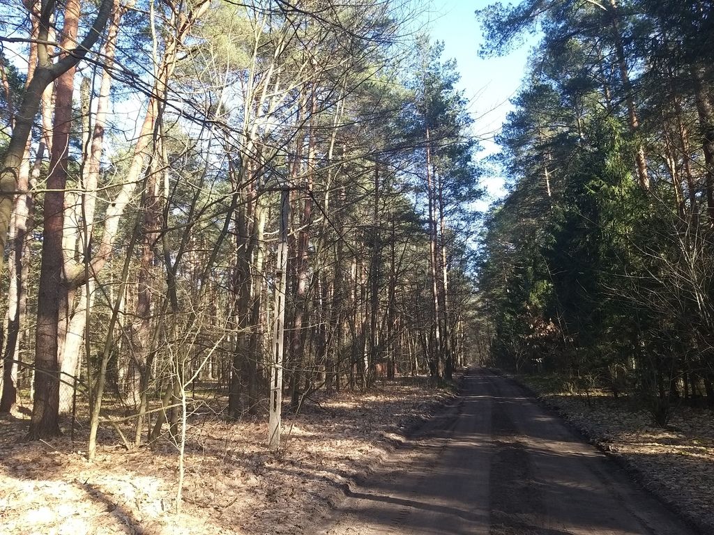 Działka rekreacyjna Osiedle Wilga. Zdjęcie 6