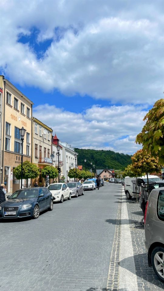 Mieszkanie 2-pokojowe Muszyna. Zdjęcie 3