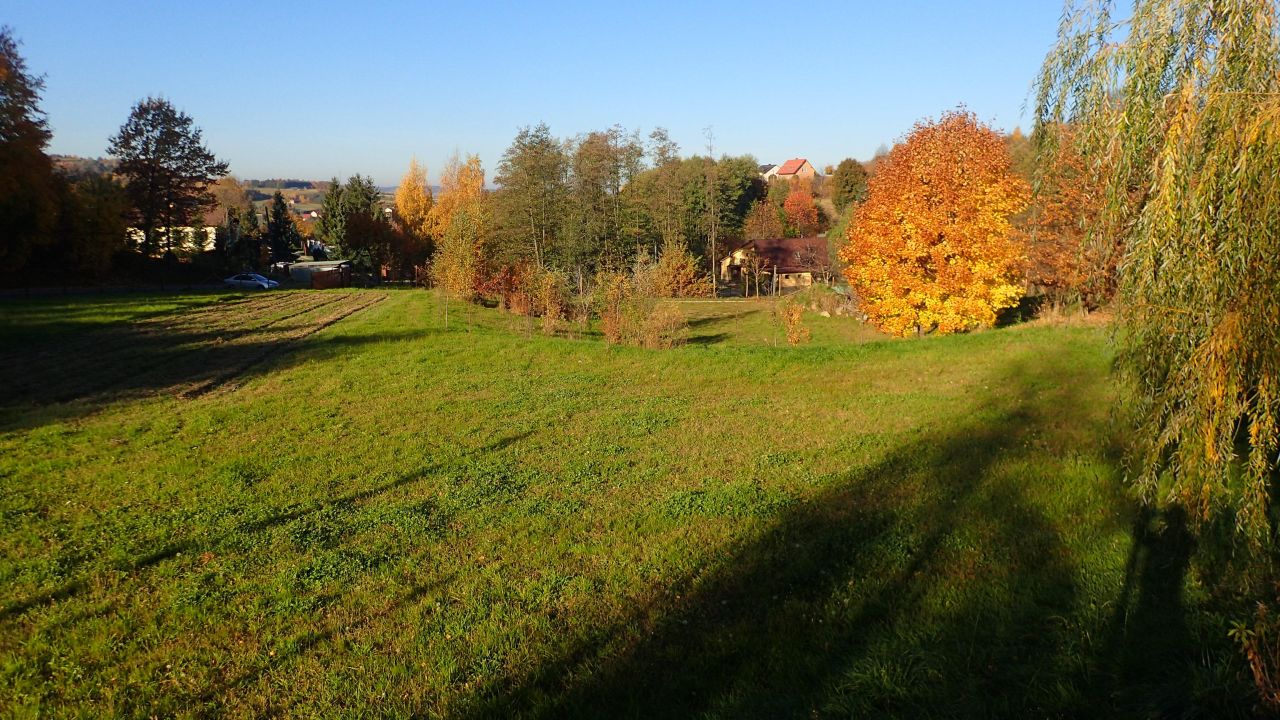 Działka rolna Szczepanowice. Zdjęcie 2