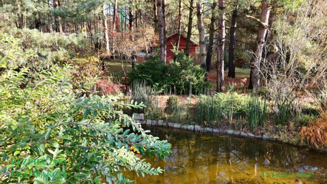 dom wolnostojący, 7 pokoi Licze, ul. Dębowa. Zdjęcie 7