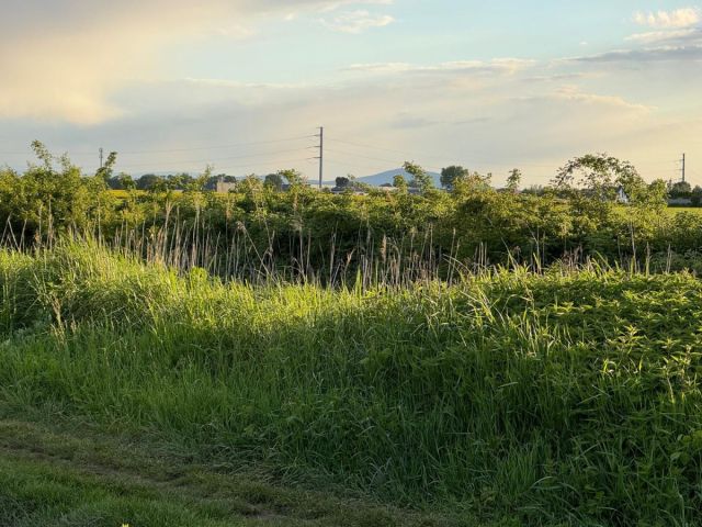 Działka budowlana Żerniki Wrocławskie, ul. Dębowa. Zdjęcie 7