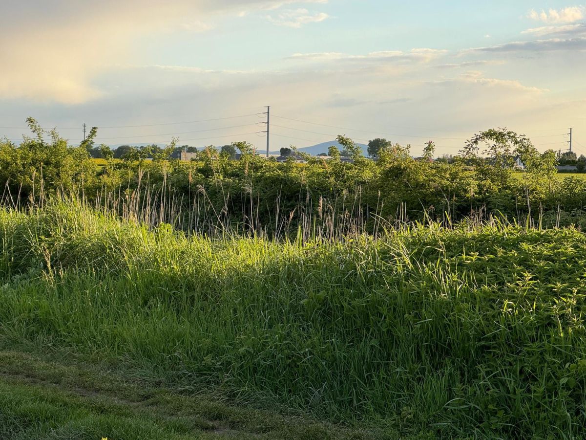 Działka budowlana Żerniki Wrocławskie, ul. Dębowa. Zdjęcie 7