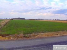 Działka inwestycyjna Wiskitki. Zdjęcie 2