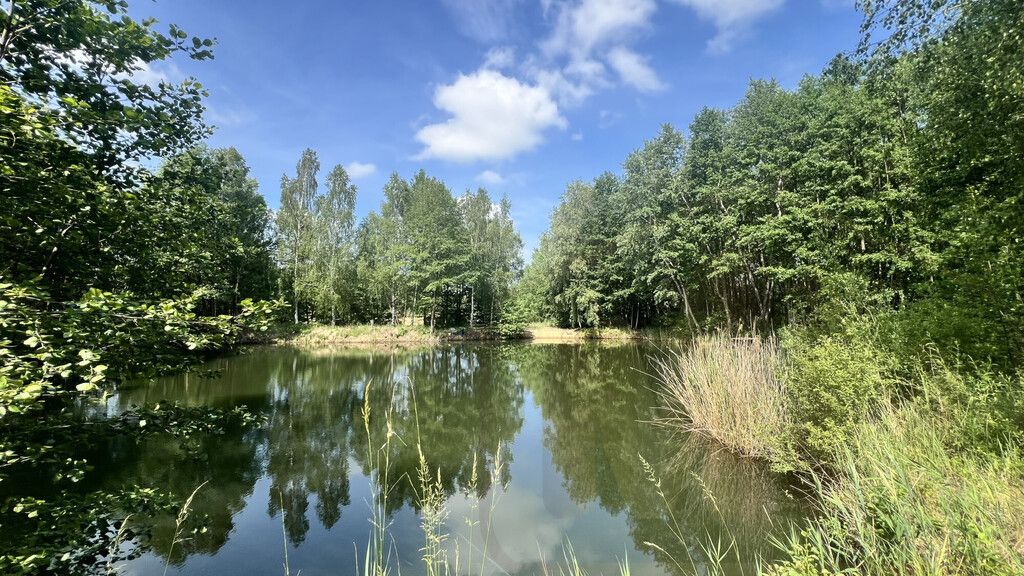 Działka rekreacyjna Osieczna. Zdjęcie 21