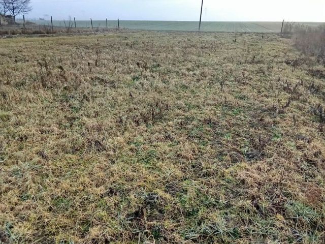 Działka budowlana Przemocze. Zdjęcie 1