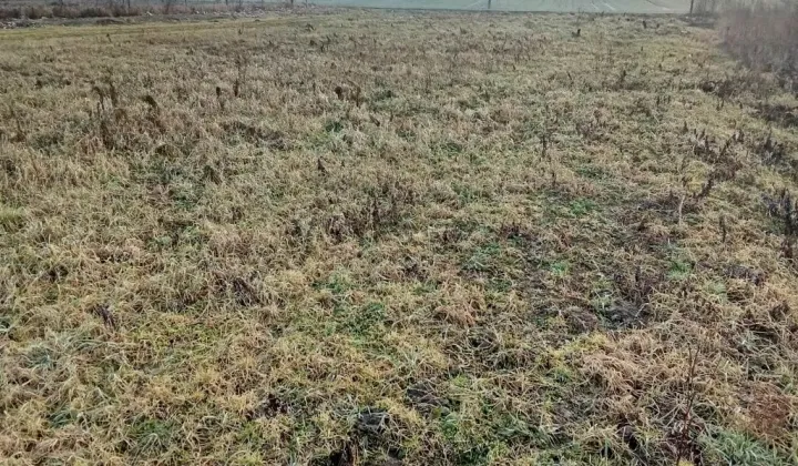 Działka budowlana Przemocze