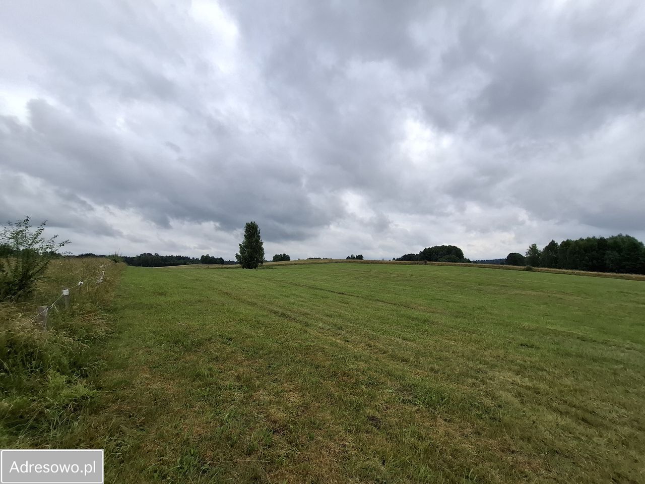 Działka rolna Pluty. Zdjęcie 8