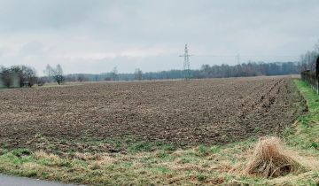 Działka rolno-budowlana Zdrowa, ul. Leśna