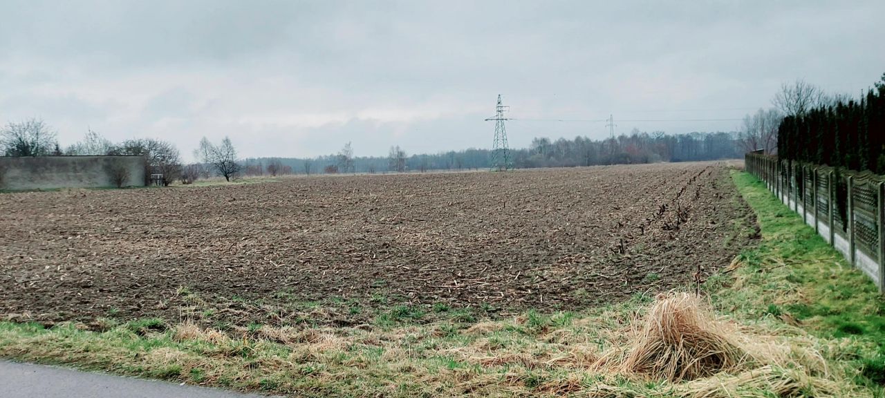 Działka rolno-budowlana Zdrowa, ul. Leśna. Zdjęcie 2