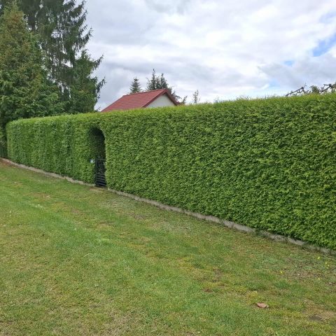 Działka rod Biedrusko. Zdjęcie 1