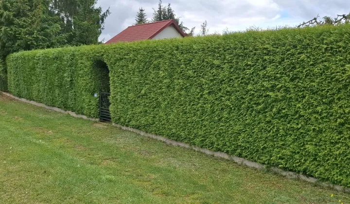 Działka rod Biedrusko