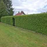 Działka rod Biedrusko