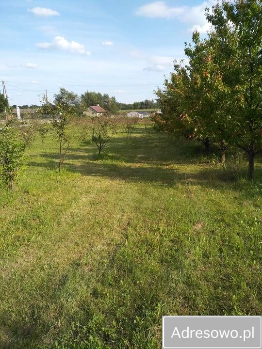 Działka rolno-budowlana Zawichost, ul. Podgórze. Zdjęcie 4