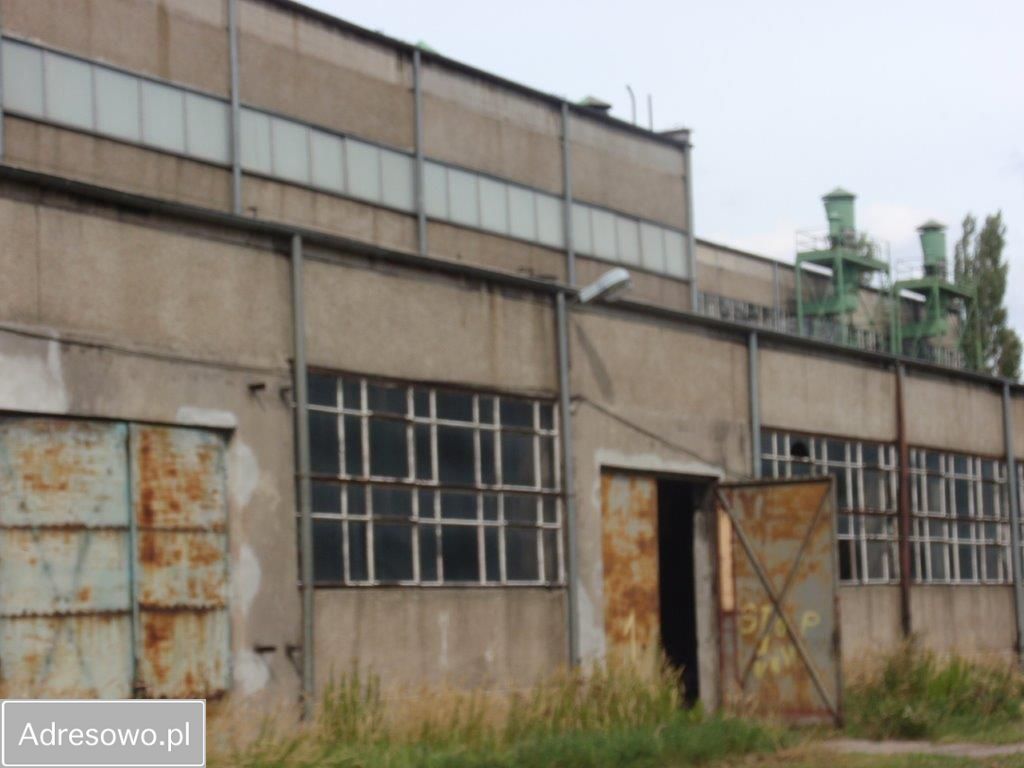 Hala/magazyn Ząbkowice Śląskie. Zdjęcie 13
