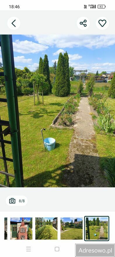 Działka rod Polkowice, ul. Działkowa. Zdjęcie 3