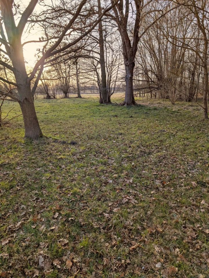 Działka rolna Łąkie, Łąkie. Zdjęcie 12