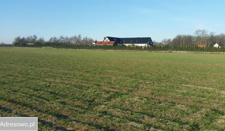 Działka rolna Toruń Piaski, ul. Dworska