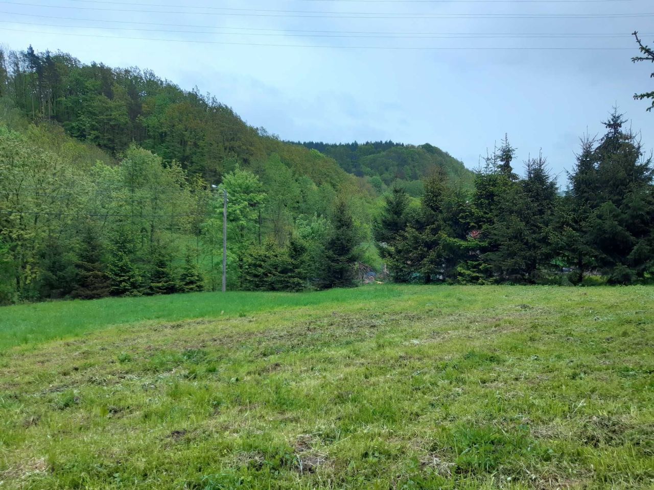 dzia-ka-wilcza-bez-po-rednika-2400-m2-240-000-z