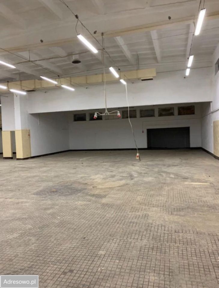 Hala/magazyn Świecie. Zdjęcie 3