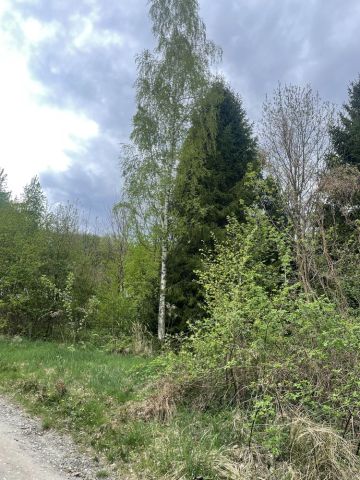 Działka budowlana Jarnołtówek. Zdjęcie 1