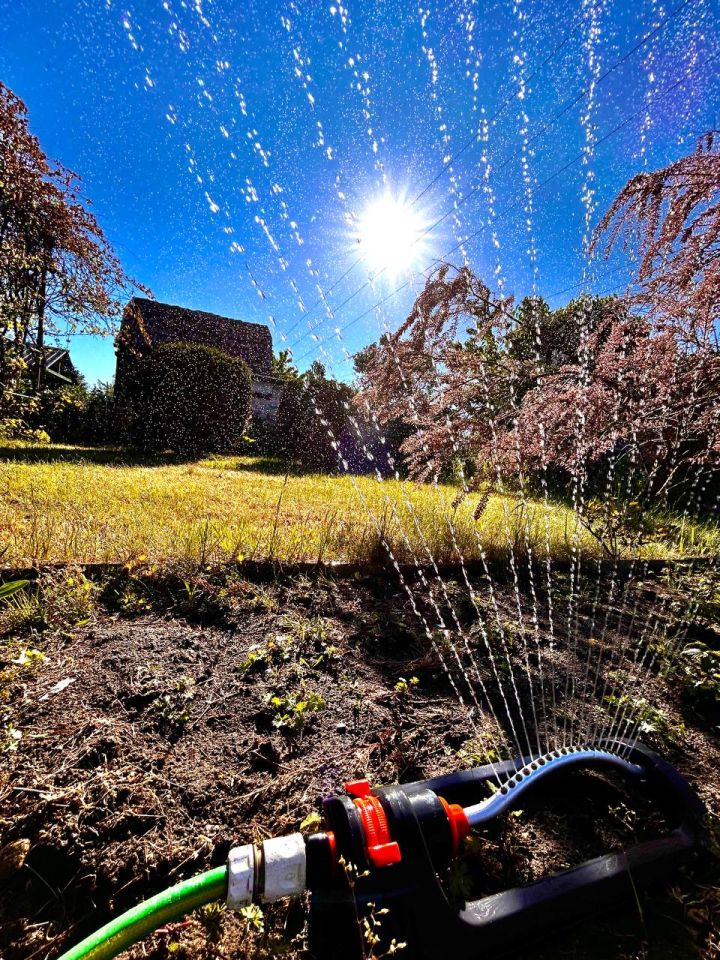 Działka rod Stargard, ul. Grudziądzka. Zdjęcie 6