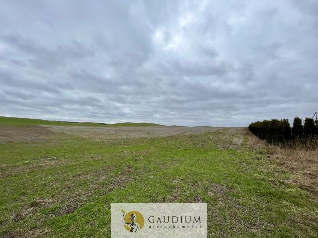 Działka Lubiszewo Tczewskie. Zdjęcie 3