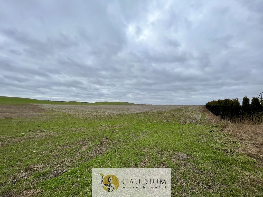 Działka Lubiszewo Tczewskie. Zdjęcie 3