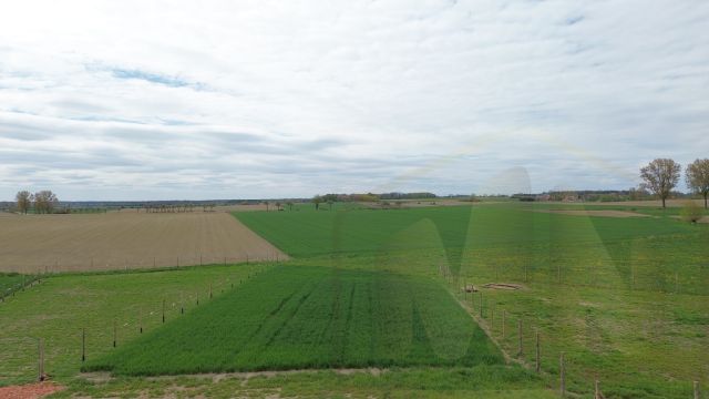 Działka budowlana Zaborowice. Zdjęcie 2
