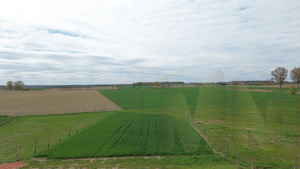 Działka budowlana Zaborowice. Zdjęcie 2