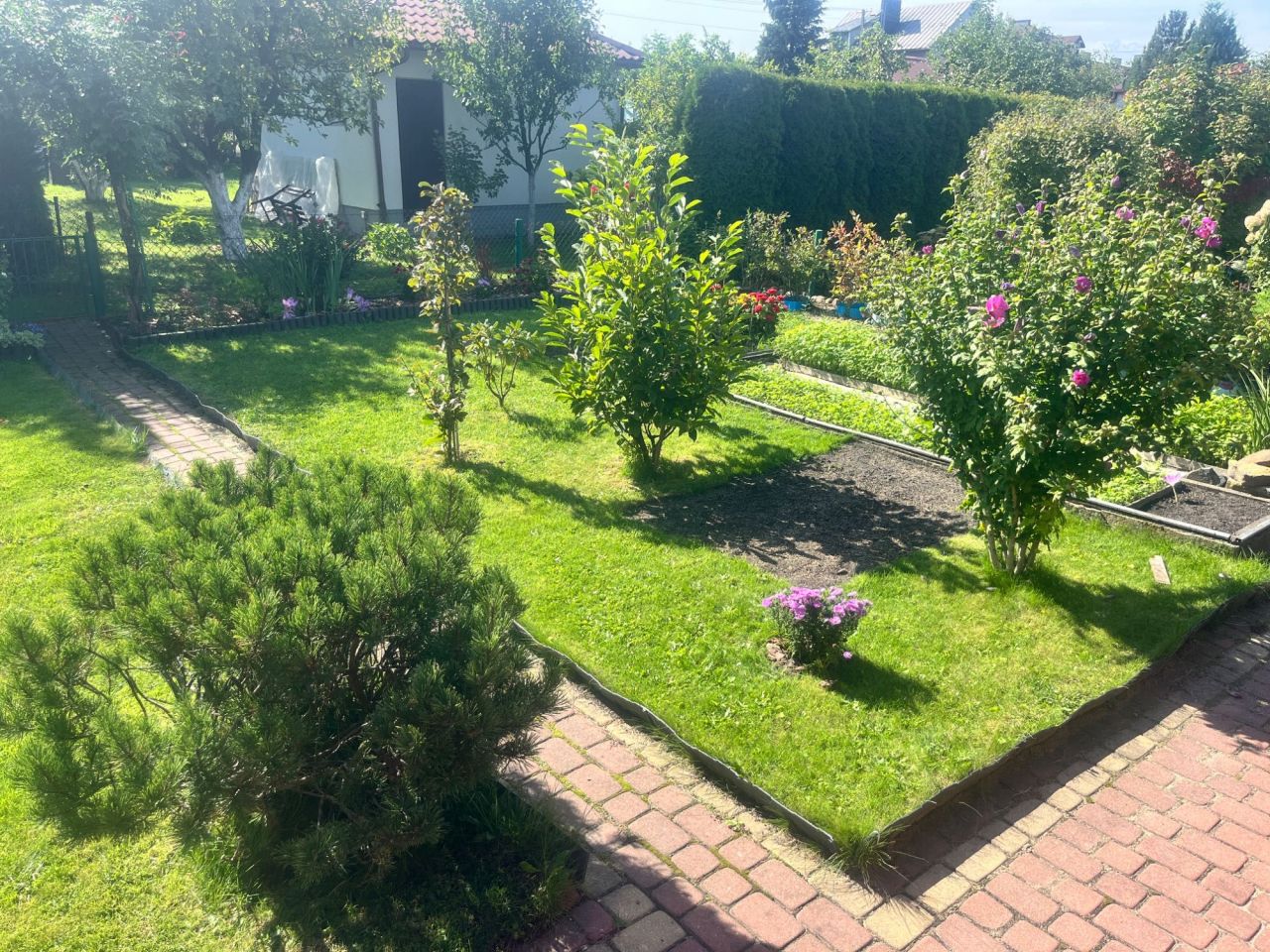Działka rod Zgierz. Zdjęcie 5