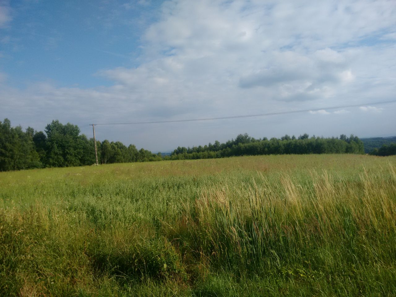 Działka budowlana Glinik Średni Kamieniec