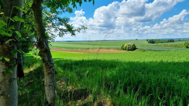 Działka budowlana Miechów, ul. Józefa Piłsudskiego. Zdjęcie 1