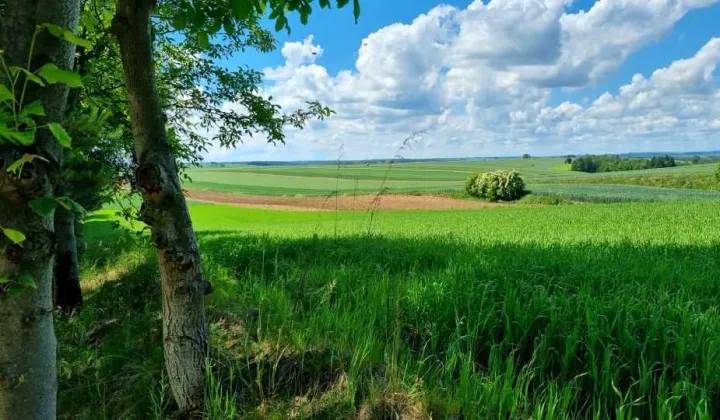 Działka budowlana Miechów, ul. Józefa Piłsudskiego