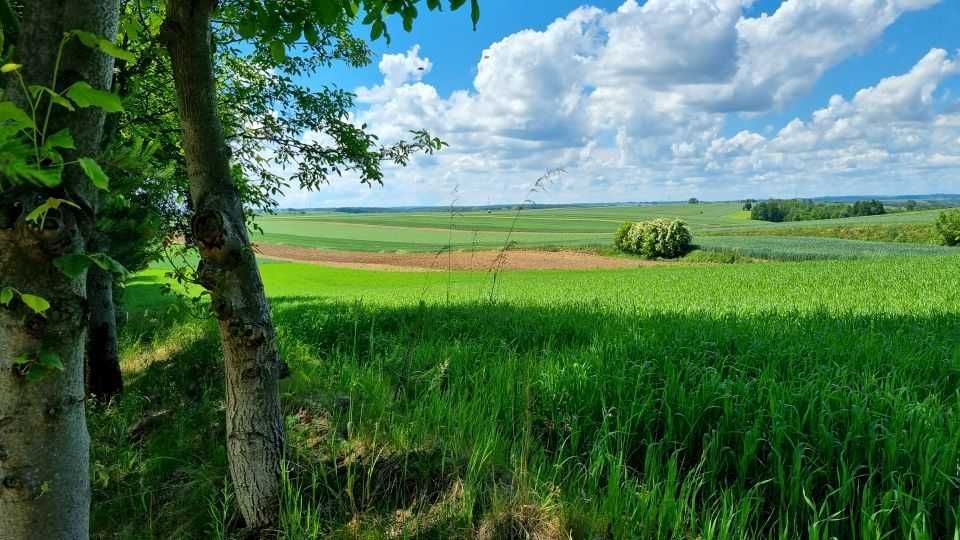 Działka budowlana Miechów, ul. Józefa Piłsudskiego