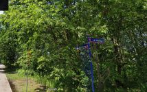 Działka budowlana Grodzisk Mazowiecki Centrum, ul. Okrężna. Zdjęcie 1