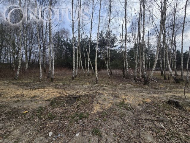 Działka budowlana Jastrzębnik. Zdjęcie 7