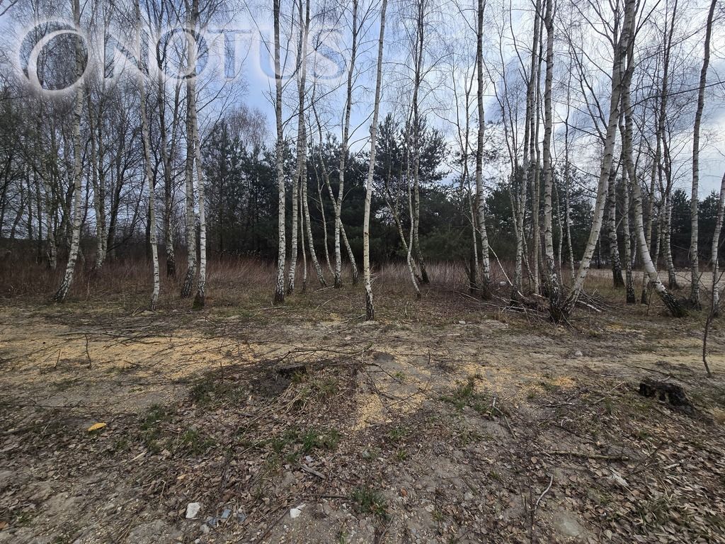 Działka budowlana Jastrzębnik. Zdjęcie 7