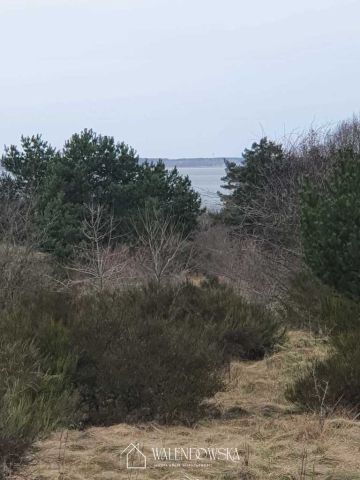 Działka rolna Gardna Wielka. Zdjęcie 6