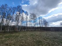 Działka rolna Pogorzelce. Zdjęcie 2