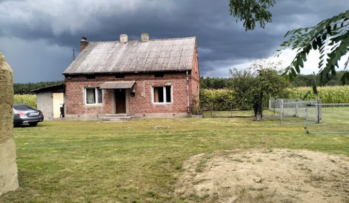 dom wolnostojący Wycinki