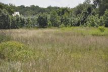 Działka budowlana Orzesze. Zdjęcie 4