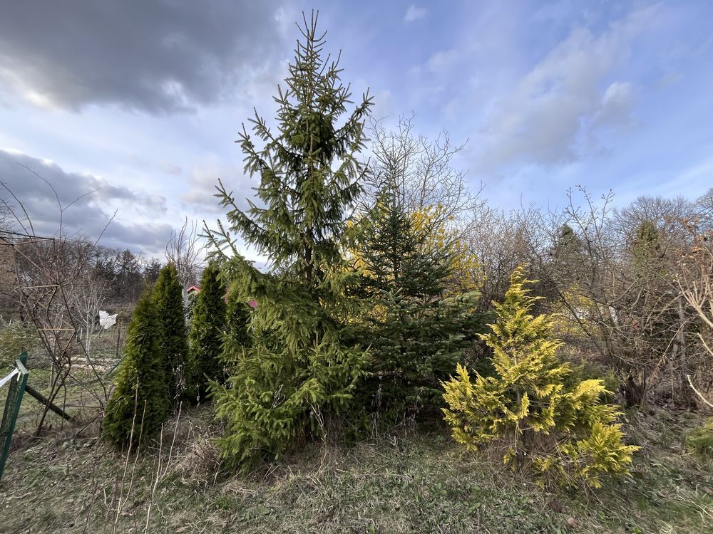 Działka rod Wrocław Krzyki, ul. Działkowa. Zdjęcie 3