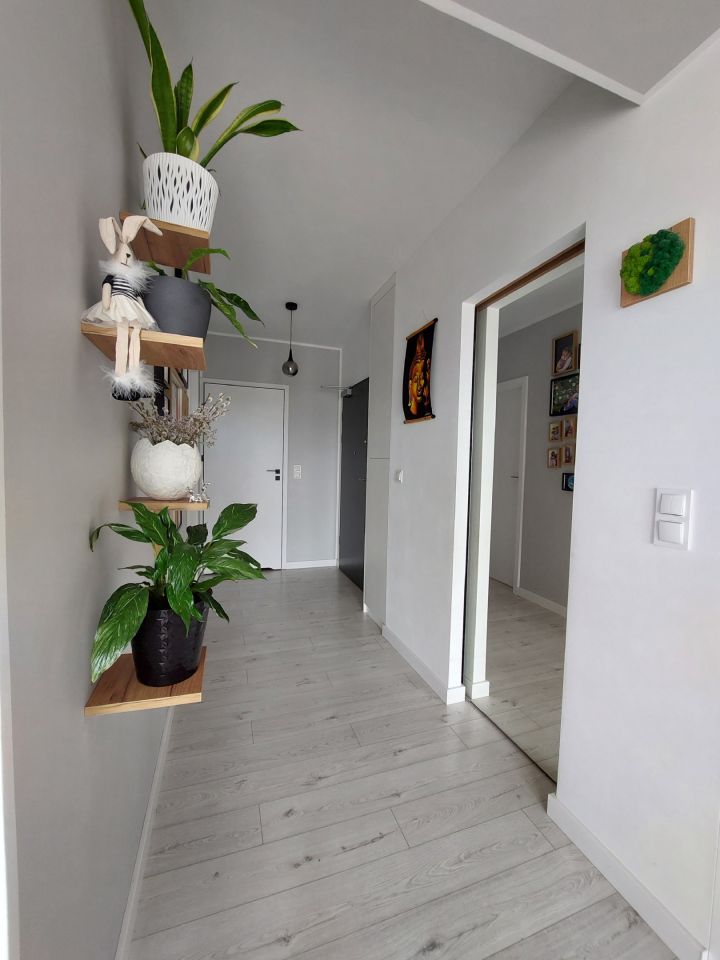 Mieszkanie 2-pokojowe Poznań Grunwald, ul. Bułgarska. Zdjęcie 3