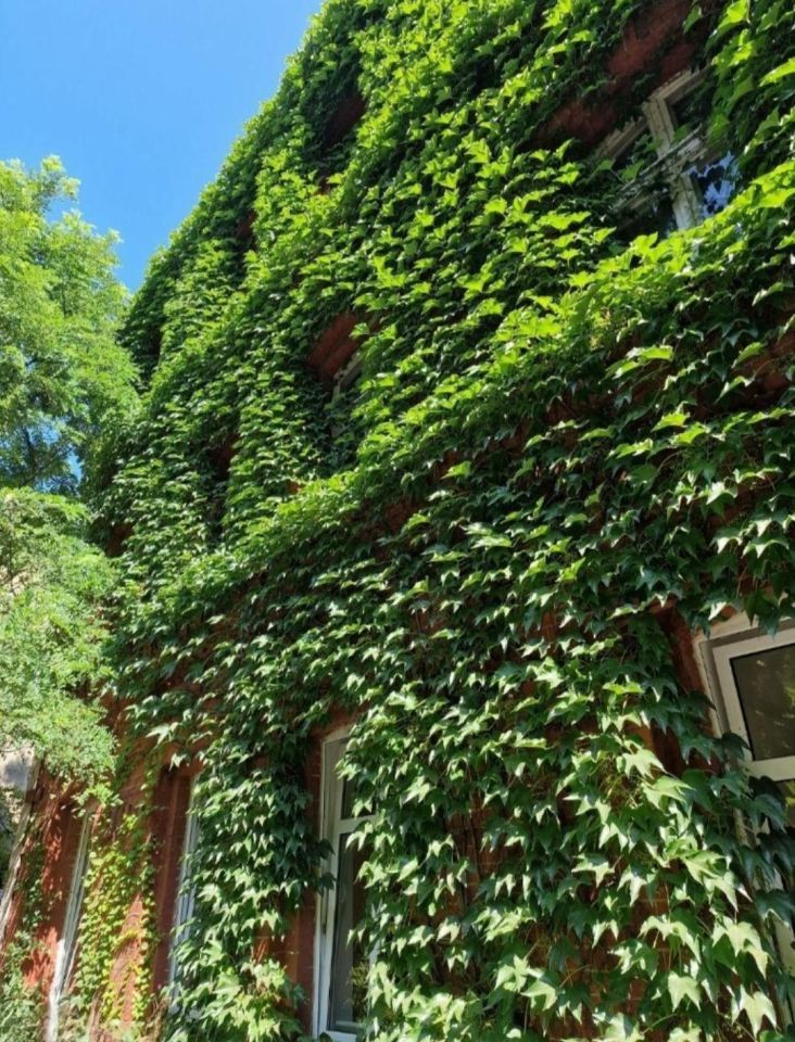 Mieszkanie 2-pokojowe Katowice Załęże, ul. Juliusza Zarębskiego. Zdjęcie 8