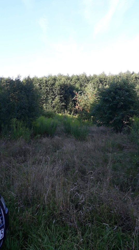 Działka rolno-budowlana Bieganów, ul. Cytrynowa. Zdjęcie 5