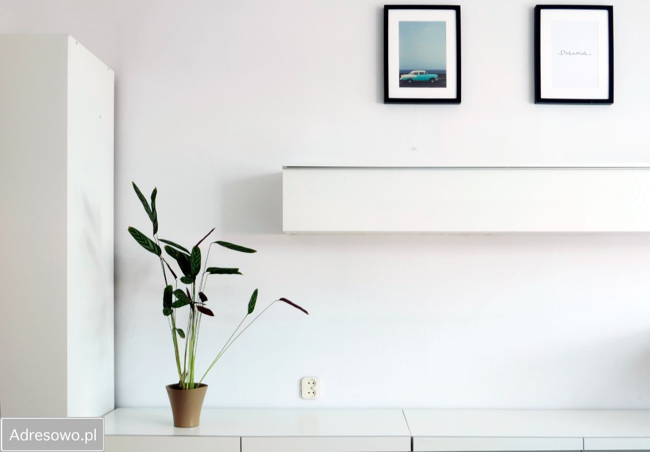 Nieruchomość komercyjna Dęblin, ul. Warszawska. Zdjęcie 5