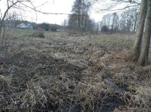 Działka rolno-budowlana Damianów