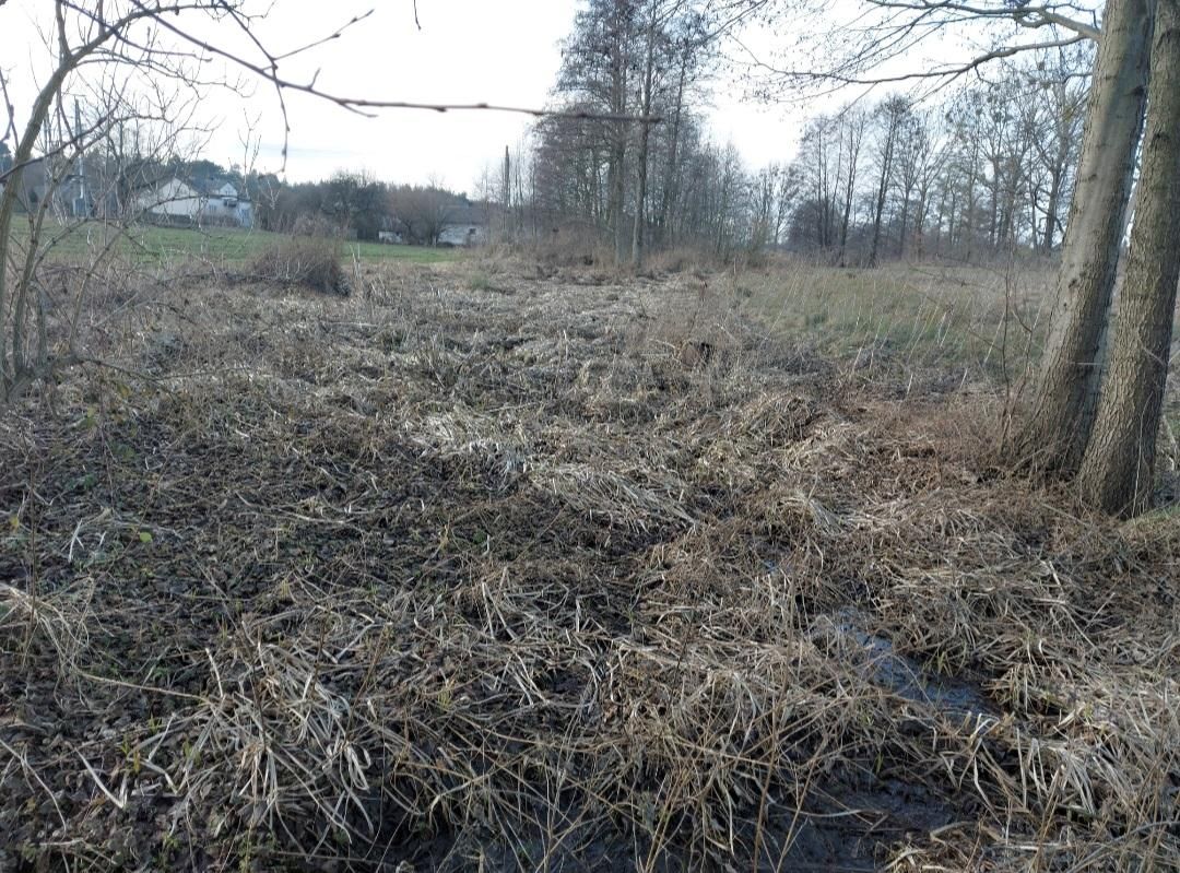 Działka rolno-budowlana Damianów