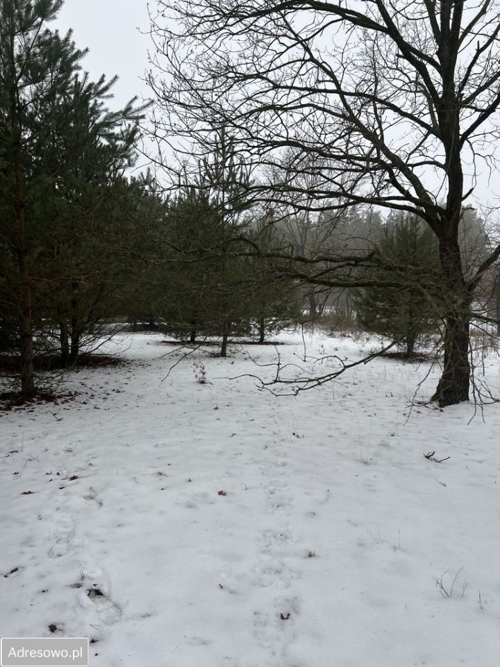 Działka rolno-budowlana Andrzejów. Zdjęcie 13