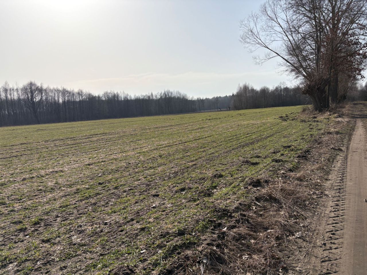 Działka rolna Luberadz. Zdjęcie 8